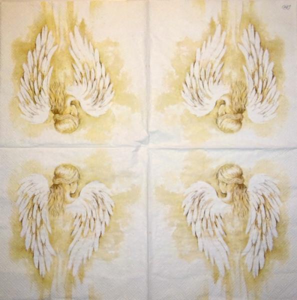 151 Angel - 2-ply